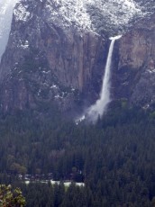Yosemite park (24).JPG