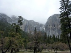 Yosemite park (27).JPG