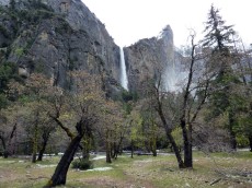 Yosemite park (29).JPG