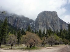 Yosemite park (30).JPG