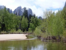 Yosemite park (39).JPG