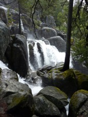 Yosemite park (5).JPG