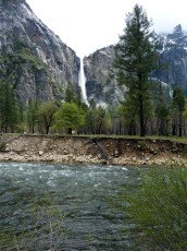 Yosemite park (57).JPG