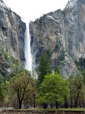 Yosemite park (58).JPG