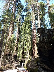 big tree state park (19).JPG big tree state park (19).JPG
