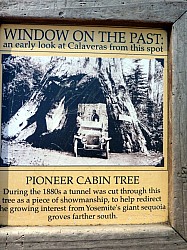 big tree state park (26).JPG big tree state park (26).JPG