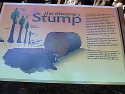 big tree state park (3).JPG big tree state park (3).JPG