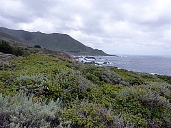 San Francisco (17).JPG
