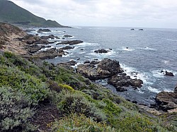 San Francisco (18).JPG