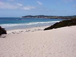 San Francisco (35).JPG