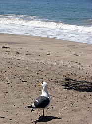 route San Francisco Los Angeles (4).JPG