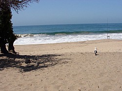 route San Francisco Los Angeles (5).JPG